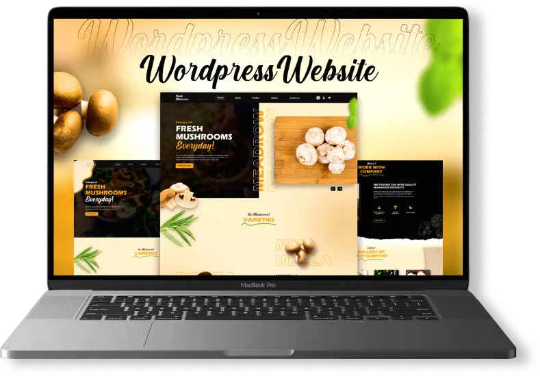 WordPress Development Company in USA provides Custom WordPress Development Services.